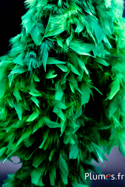 Boa in veren cock - 4 vouwen, 2 m - groen